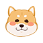 xx358358的头像